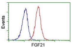 FGF21 Monoclonal Antibody (OTI1H5), TrueMAB , OriGene 100 &mu;L; Unconjugated:Antibodies,