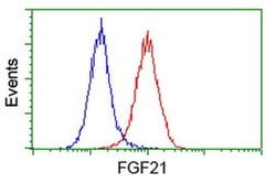 FGF21 Monoclonal Antibody (OTI2B9), TrueMAB , OriGene:Antibodies:Primary