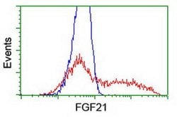 FGF21 Monoclonal Antibody (OTI2E2), TrueMAB , OriGene 100 &mu;L; Unconjugated:Antibodies,
