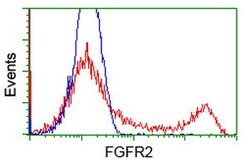 FGFR2 Mouse anti-Human, Clone: OTI4D6, lyophilized, TrueMAB 100 &mu;g;