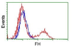 FH Mouse anti-Canine, Human, Rat, Clone: OTI1F10, lyophilized, TrueMAB