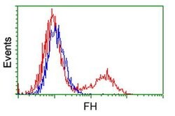 FH Mouse anti-Canine, Human, Rat, Clone: OTI1F10, liquid, TrueMAB 100 &mu;L;