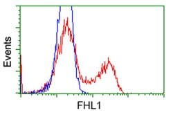 FHL1 Monoclonal Antibody (OTI1D6), TrueMAB , OriGene 100 &mu;L; Unconjugated:Antibodies,