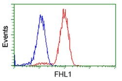 FHL1 Monoclonal Antibody (OTI1D6), TrueMAB , OriGene 100 &mu;L; Unconjugated:Antibodies,
