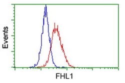 FHL1 Monoclonal Antibody (OTI3G7), TrueMAB , OriGene 100 &mu;L; Unconjugated:Antibodies,