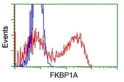 FKBP1A Mouse anti-Human, Clone: OTI3B3, lyophilized, TrueMAB 100 &mu;g;