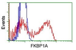 FKBP1A Mouse anti-Human, Clone: OTI3B3, TrueMAB , Origene 30 &mu;L; Unconjugated:Anticorps,