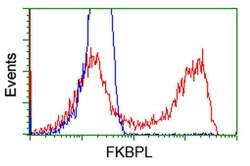 FKBPL Monoclonal Antibody (OTI4G1), TrueMAB , OriGene:Antibodies:Primary