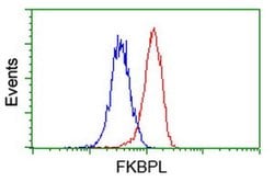FKBPL Monoclonal Antibody (OTI2D8), TrueMAB , OriGene 100 &mu;L; Unconjugated:Antibodies,