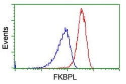 FKBPL Monoclonal Antibody (OTI2D8), TrueMAB , OriGene 100 &mu;L; Unconjugated:Antibodies,