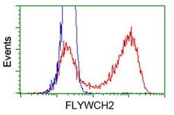 FLYWCH2 Mouse anti-Human, Clone: OTI2F5, lyophilized, TrueMAB 100 &mu;g;