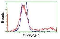 FLYWCH2 Monoclonal Antibody (OTI3G3), TrueMAB , OriGene 30 &mu;L; Unconjugated:Antibodies,