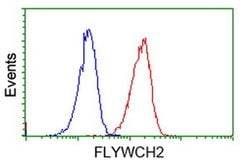 FLYWCH2 Monoclonal Antibody (OTI3G3), TrueMAB , OriGene:Antibodies:Primary