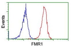 FMR1 Monoclonal Antibody (OTI5B9), TrueMAB , OriGene 100 &mu;L; Unconjugated:Antibodies,