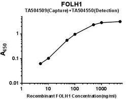 FOLH1 Mouse anti-Canine, Human, Mouse, Rat, Clone: OTI2E1, lyophilized,