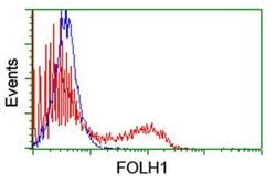 FOLH1 Monoclonal Antibody (OTI5A9), TrueMAB , OriGene 100 &mu;L; Unconjugated:Antibodies,