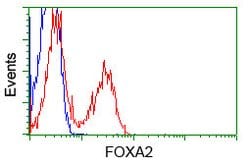 FOXA2 Mouse anti-Human, Clone: OTI3C10, lyophilized, TrueMAB 100 &mu;g;