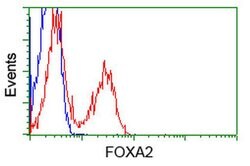 FOXA2 Mouse anti-Human, Clone: OTI3C10, liquid, TrueMAB 100 &mu;L; Unconjugated:Antibodies,