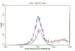 FOXP3 Mouse anti-Human, Clone: OTI8G3, lyophilized, TrueMAB 100 &mu;g;