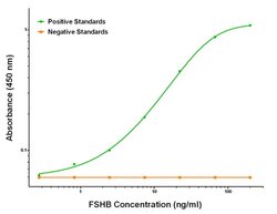 FSHB Mouse anti-Human, Clone: OTI4E8, liquid, TrueMAB 100 &mu;g; Unconjugated:Antibodies,