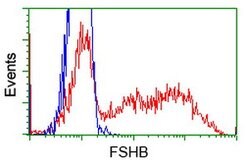 FSHB Mouse anti-Human, Clone: OTI2A6, lyophilized, TrueMAB 100 &mu;g; Unconjugated:Antibodies,