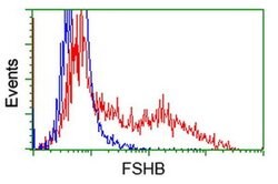 FSHB Monoclonal Antibody (OTI2G9), TrueMAB , OriGene:Antibodies:Primary