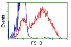 FSHB Monoclonal Antibody (OTI2E5), TrueMAB , OriGene 100 &mu;L; Unconjugated:Antibodies,