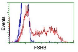 FSHB Monoclonal Antibody (OTI4E10), TrueMAB , OriGene:Antibodies:Primary