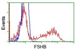 FSHB Monoclonal Antibody (OTI4B9), TrueMAB , OriGene 30 &mu;L; Unconjugated:Antibodies,