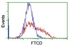 FTCD Monoclonal Antibody (OTI7C5), TrueMAB , OriGene 30 &mu;L; Unconjugated:Antibodies,