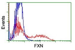 FXN Mouse anti-Human, Clone: OTI1C12, lyophilized, TrueMAB 100 &mu;g; Unconjugated:Antibodies,