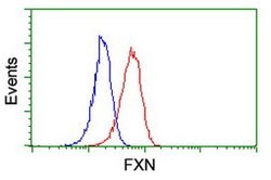 FXN Mouse anti-Human, Clone: OTI1C12, lyophilized, TrueMAB 100 &mu;g; Unconjugated:Antibodies,