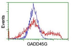 GADD45G Monoclonal Antibody (OTI1E4), TrueMAB , OriGene:Antibodies:Primary