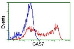 GAS7 Mouse anti-Canine, Human, Rat, Clone: OTI2F6, lyophilized, TrueMAB