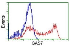 GAS7 Monoclonal Antibody (OTI2F6), TrueMAB , OriGene 30 &mu;L; Unconjugated:Antibodies,