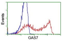 GAS7 Monoclonal Antibody (OTI2D11), TrueMAB , OriGene 30 &mu;L; Unconjugated:Antibodies,