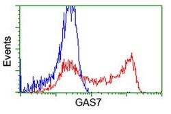 GAS7 Mouse anti-Human, Clone: OTI9H6, lyophilized, TrueMAB 100 &mu;g; Unconjugated:Antibodies,