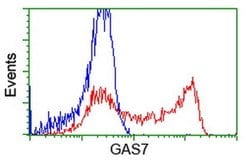 GAS7 Monoclonal Antibody (OTI9H6), TrueMAB , OriGene 100 &mu;L; Unconjugated:Antibodies,