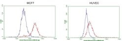 GATA3 Mouse anti-Human, Clone: OTI8H4, lyophilized, TrueMAB 100 &mu;g;