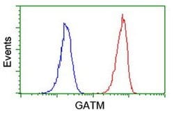 GATM Mouse anti-Human, Clone: OTI1E3, liquid, TrueMAB 100 &mu;L; Unconjugated:Antibodies,