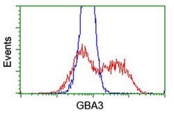GBA3 Monoclonal Antibody (OTI5G5), TrueMAB , OriGene 100 &mu;L; Unconjugated:Antibodies,