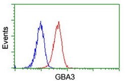 GBA3 Mouse anti-Human, Clone: OTI5G5, lyophilized, TrueMAB 100 &mu;g; Unconjugated:Antibodies,