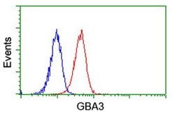 GBA3 Monoclonal Antibody (OTI5G5), TrueMAB , OriGene 100 &mu;L; Unconjugated:Antibodies,