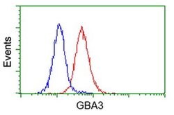 GBA3 Monoclonal Antibody (OTI4G8), TrueMAB , OriGene 100 &mu;L; Unconjugated:Antibodies,