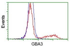 GBA3 Mouse anti-Human, Clone: OTI1F1, lyophilized, TrueMAB 100 &mu;g; Unconjugated:Antibodies,