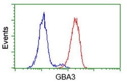 GBA3 Mouse anti-Human, Clone: OTI1F1, lyophilized, TrueMAB 100 &mu;g; Unconjugated:Antibodies,