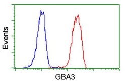GBA3 Monoclonal Antibody (OTI1F1), TrueMAB , OriGene 30 &mu;L; Unconjugated:Antibodies,