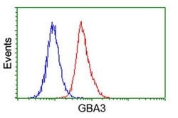 GBA3 Monoclonal Antibody (OTI4C7), TrueMAB , OriGene 100 &mu;L; Unconjugated:Antibodies,