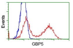 GBP5 Mouse anti-Human, Clone: OTI4D9, lyophilized, TrueMAB 100 &mu;g; Unconjugated:Antibodies,