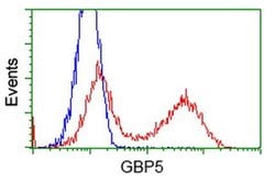 GBP5 Monoclonal Antibody (OTI4D9), TrueMAB , OriGene 100 &mu;L; Unconjugated:Antibodies,
